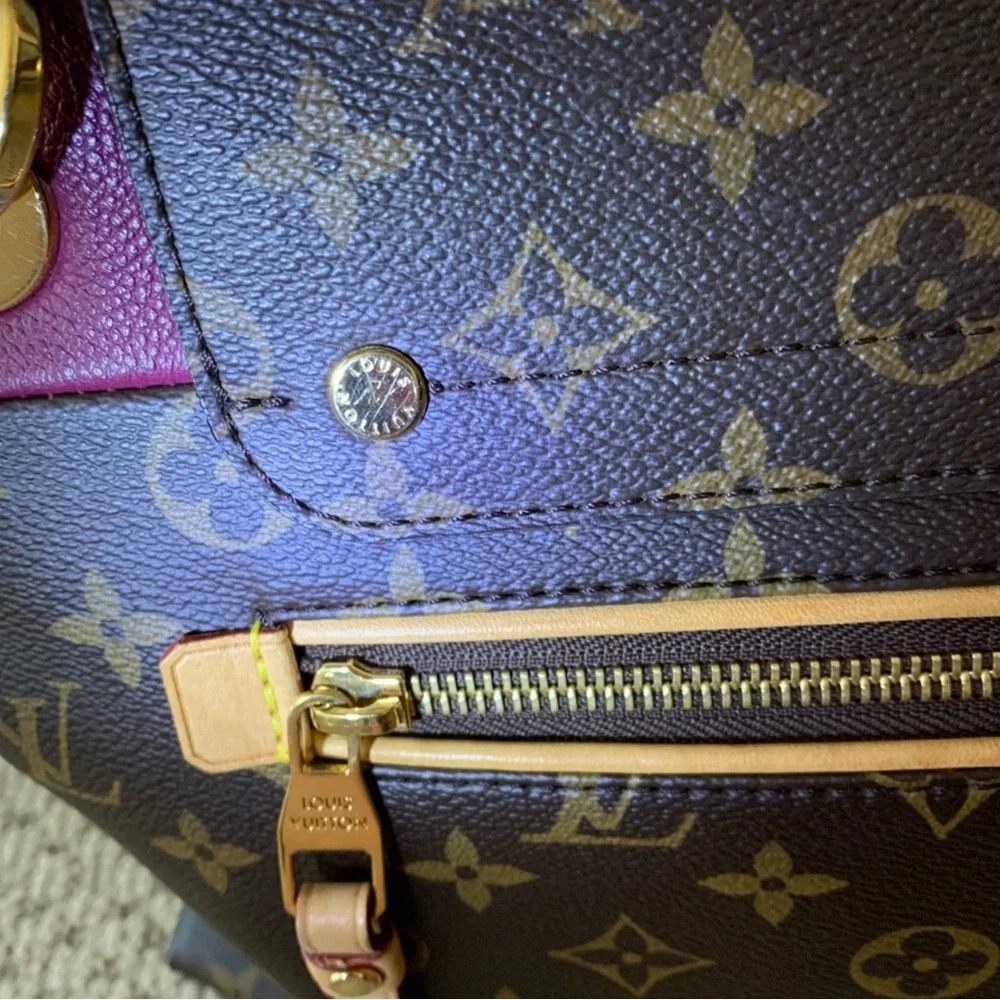 Louis Vuitton Brown and Burgundy Shoulder Bag